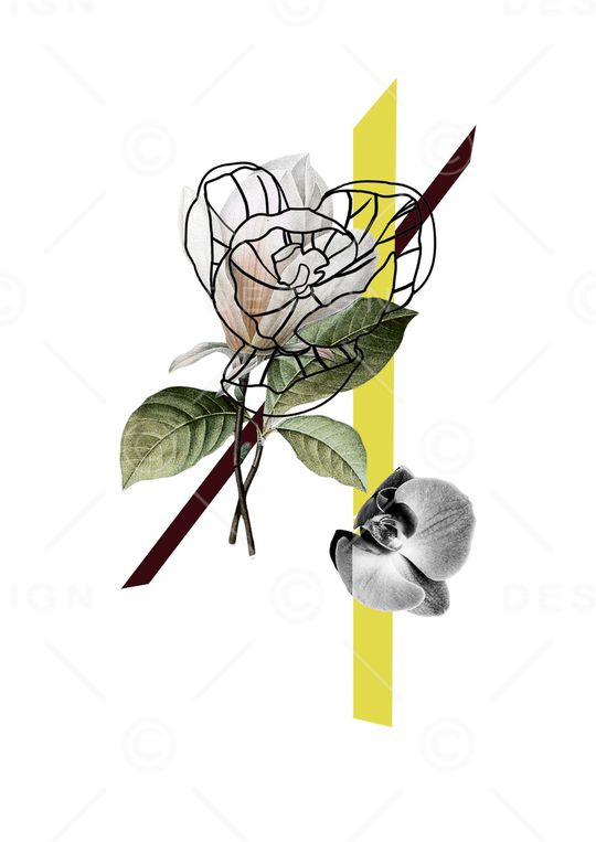 优雅印花华亿平台图片