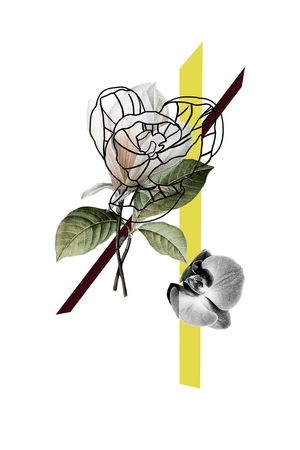 优雅印花华亿平台图片