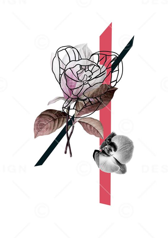 优雅印花华亿平台图片