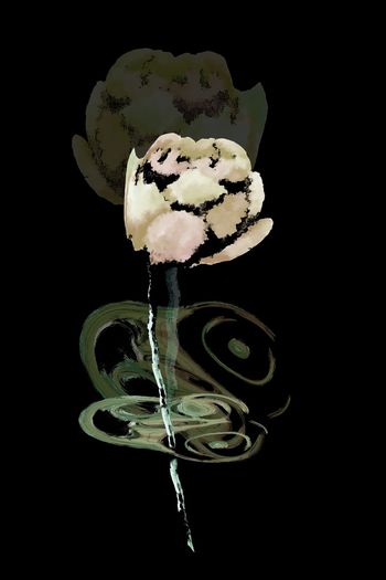 815481-创意定位油墨花卉1122