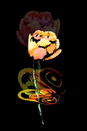 815482-创意定位油墨花卉111