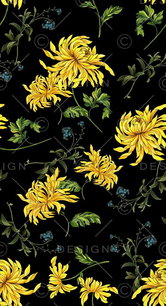 纯手绘黄色波斯菊花印花华亿平台图片