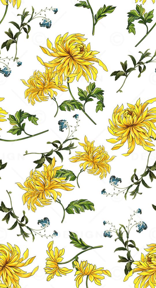 纯手绘黄色波斯菊花印花华亿平台图片