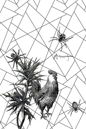 公鸡印花华亿平台图片