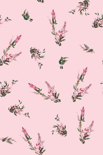 815832-优雅文艺花卉 粉