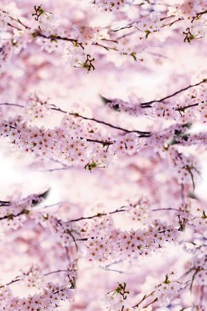 数码花印花华亿平台图片