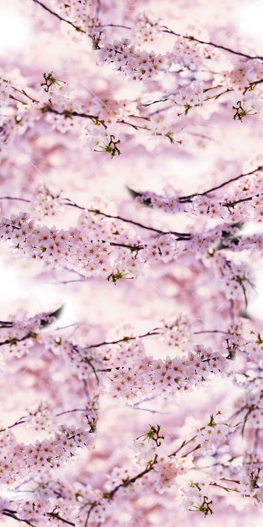 数码花印花华亿平台图片