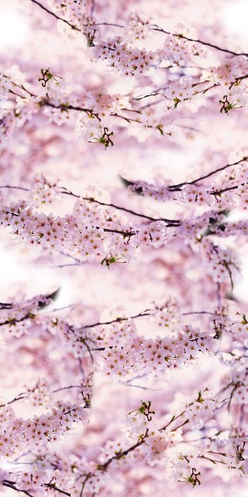 数码花印花华亿平台图片