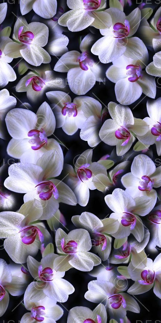 数码花印花华亿平台图片