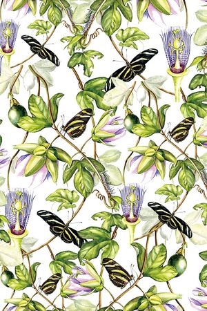 天堂鸟花印花华亿平台图片