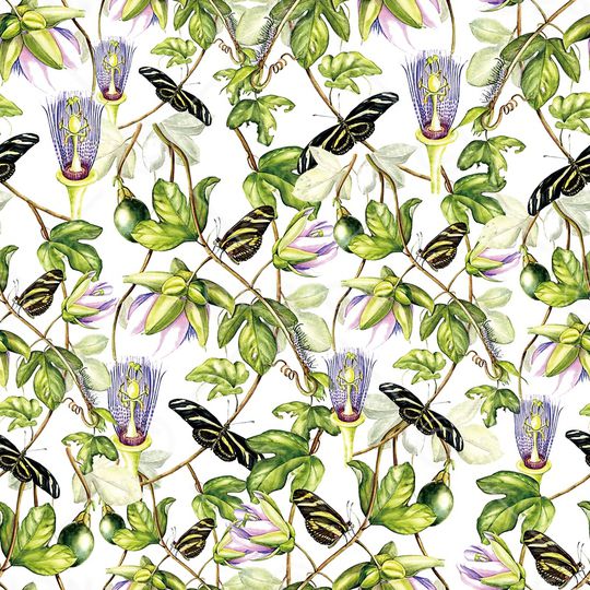 天堂鸟花印花华亿平台图片