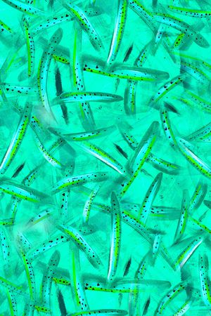 水彩印花华亿平台图片