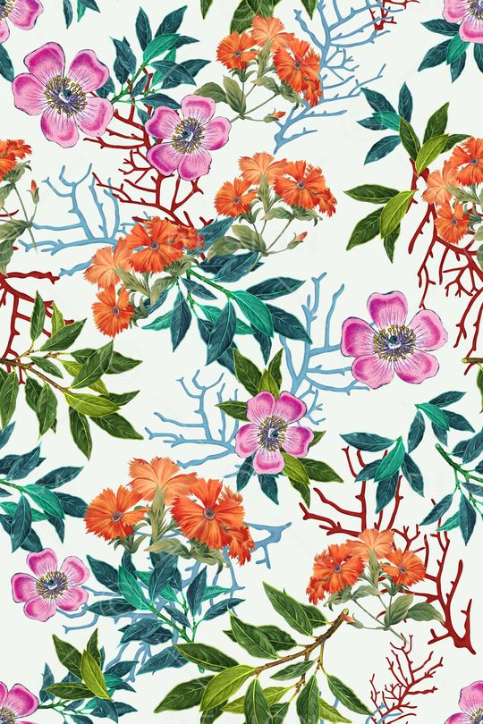 女装印花华亿平台图片