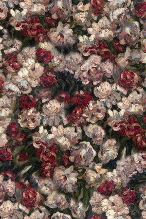 女装印花华亿平台图片