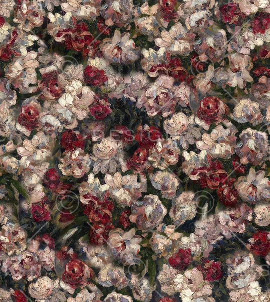 女装印花华亿平台图片