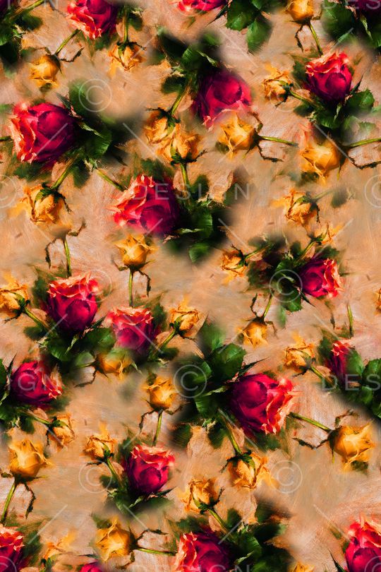 女装印花华亿平台图片