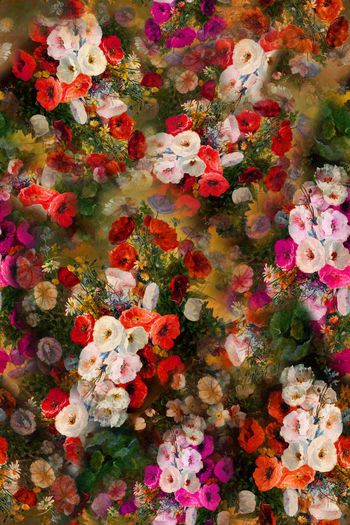 女装印花华亿平台图片