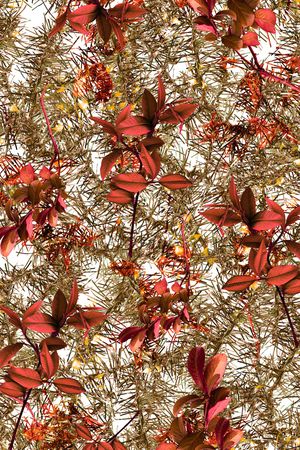 竹印花华亿平台图片