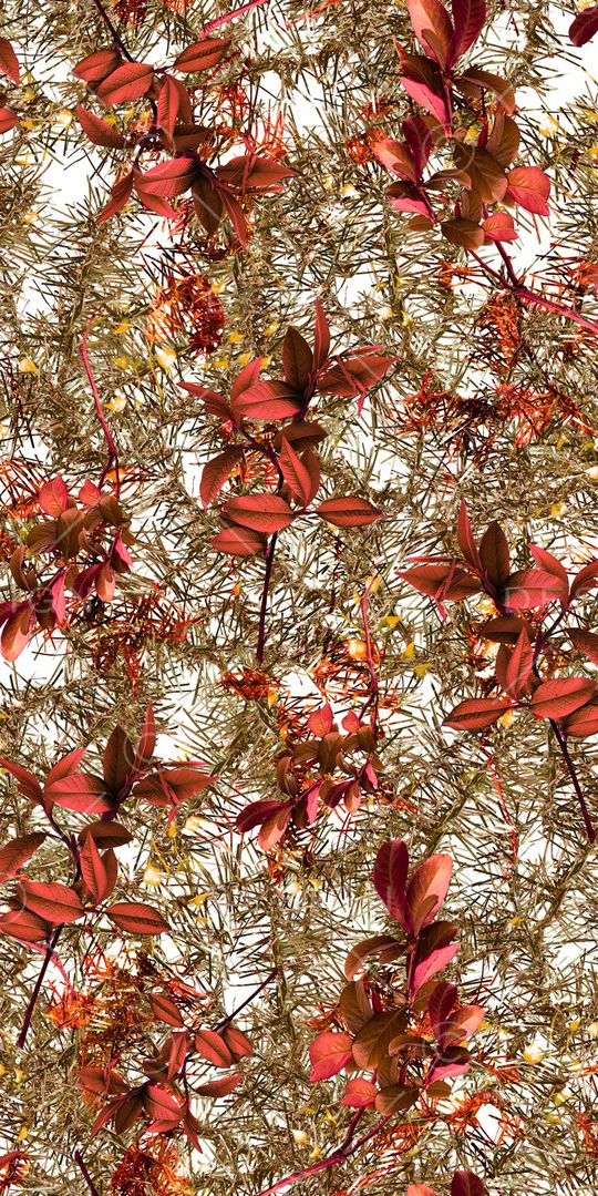 竹印花华亿平台图片