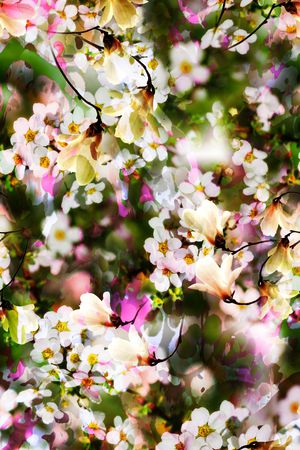 大花印花华亿平台图片