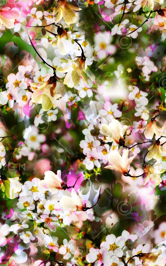 大花印花华亿平台图片