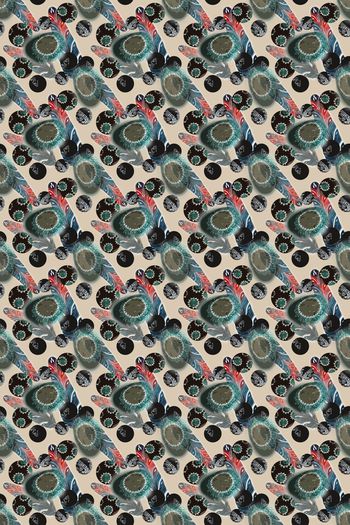 817009-170325-羽毛-1-1