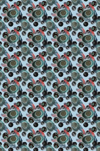 817010-170325-羽毛-1-2