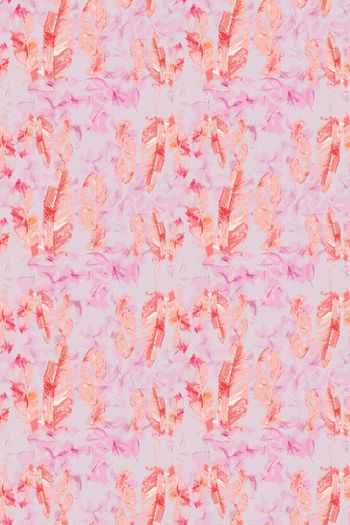 817015-170328-羽毛-1-2