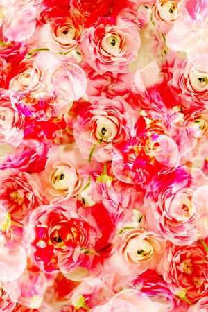 乱花印花华亿平台图片