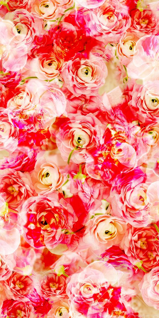 乱花印花华亿平台图片