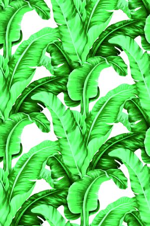 棕榈叶印花华亿平台图片