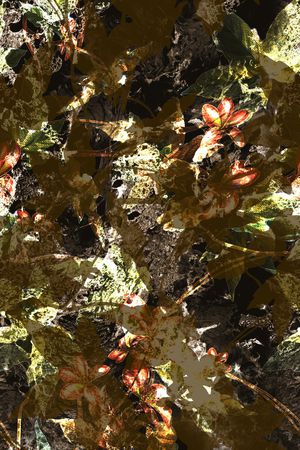 纹理印花华亿平台图片