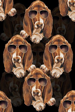 动物印花华亿平台图片