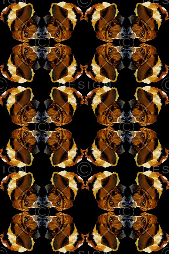 动物印花华亿平台图片