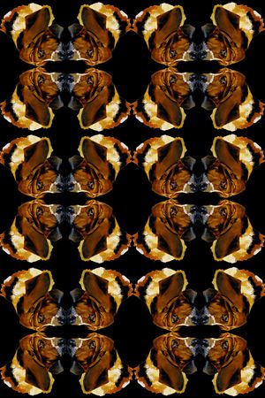 动物印花华亿平台图片