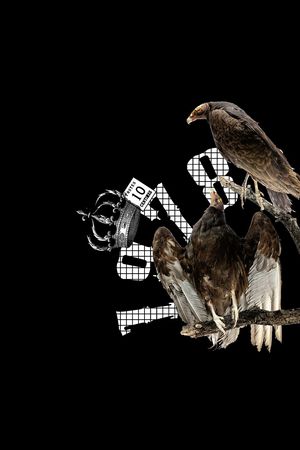 鸟印花华亿平台图片