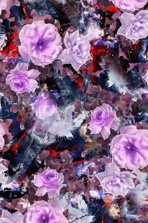 玫瑰印花华亿平台图片