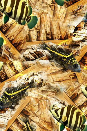 鲤鱼印花华亿平台图片