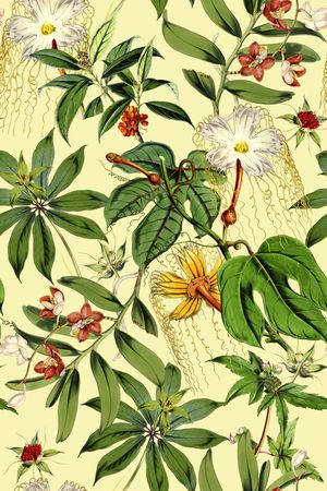 时尚印花华亿平台图片