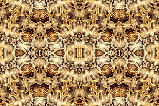 蛇纹印花华亿平台图片