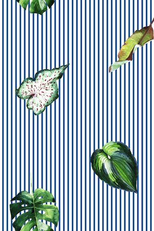 热带印花华亿平台图片