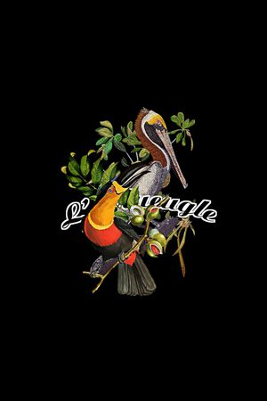 花鸟印花华亿平台图片