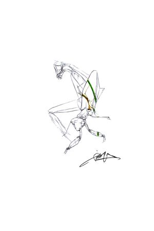 昆虫印花华亿平台图片