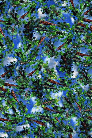 树叶印花华亿平台图片