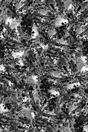 树叶印花华亿平台图片