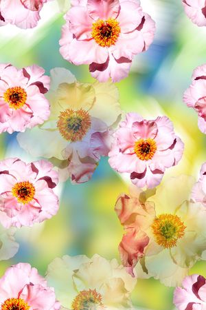 兰花印花华亿平台图片