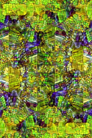 圆圈印花华亿平台图片