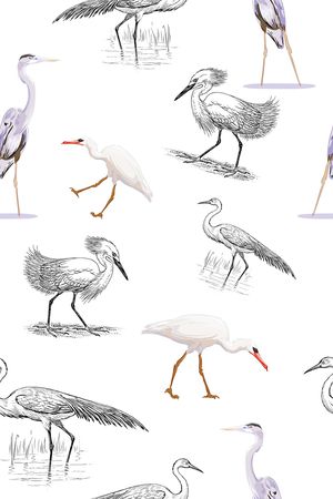 鸟印花华亿平台图片