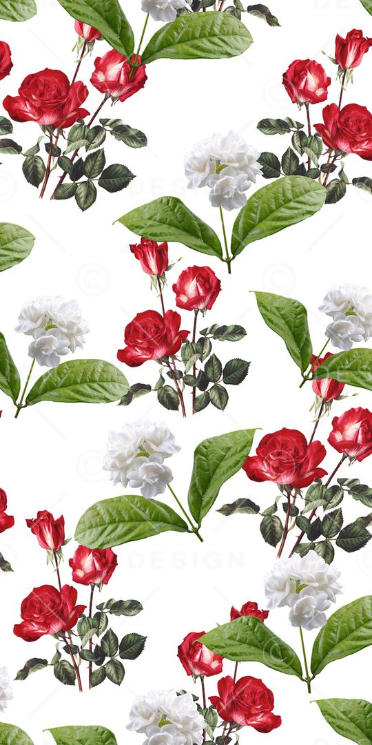 玫瑰印花华亿平台图片