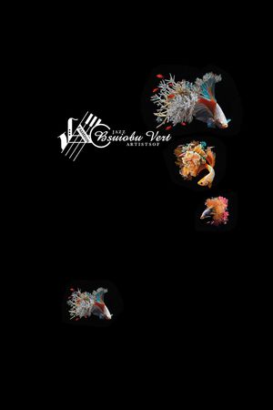 欧式印花华亿平台图片